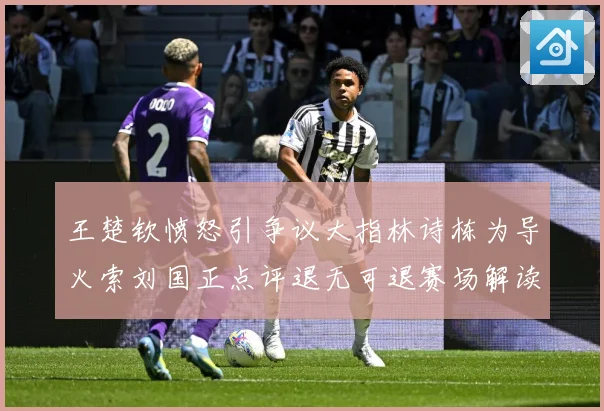 王楚钦愤怒引争议大指林诗栋为导火索刘国正点评退无可退赛场解读-深度解析