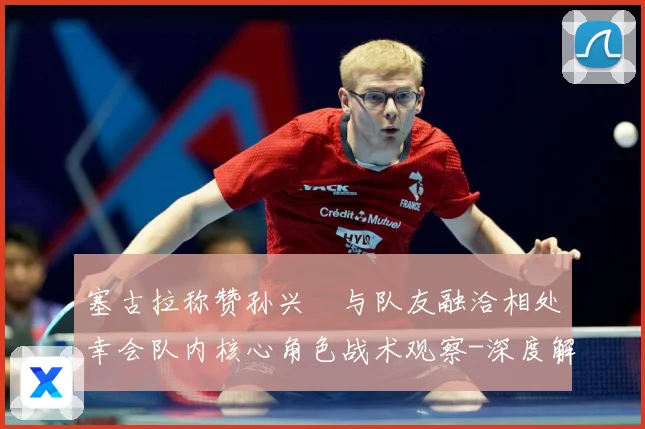 塞古拉称赞孙兴慜与队友融洽相处幸会队内核心角色战术观察-深度解析