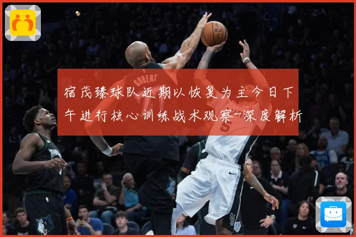 宿茂臻球队近期以恢复为主今日下午进行核心训练战术观察-深度解析